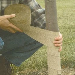 Leonard Crinkled Paper Tree Wrap, 150 Foot Roll -Garden-green plant growth care 06tw 2