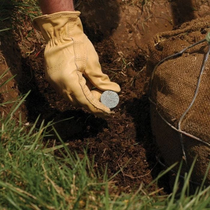 Leonard Fertilizer Tablets For Containers 14-4-6 Controlled Release 3 To 4 Months 12 Grams 3 Leonard Fertilizer Tablets For Containers 14-4-6 Controlled Release 3 To 4 Months 12 Grams