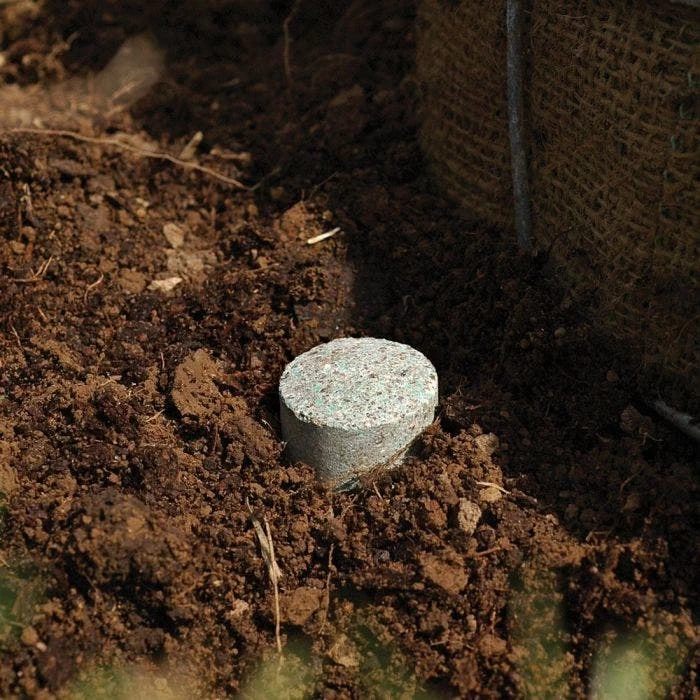 Leonard Fertilizer Tablets For Containers 14-4-6 Controlled Release 3 To 4 Months 12 Grams 5 Leonard Fertilizer Tablets For Containers 14-4-6 Controlled Release 3 To 4 Months 12 Grams - Image 3