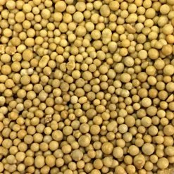 Osmocote 18-6-12 Slow-Release Fertilizer -Garden-green plant growth care 18612 2