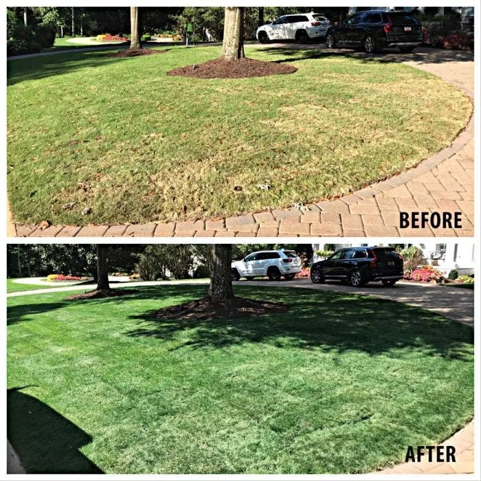 GURUgrass™ Premium Grass Colorant 4 GURUgrass™ Premium Grass Colorant - Image 2