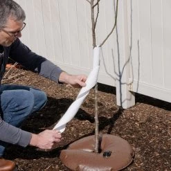 Leonard Vinyl Spiral Guards, 24-Inches, Case Of 250 -Garden-green plant growth care 24tpc 4