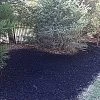 GURUmulch™ Premium Mulch Colorant - Jet Black -Garden-green plant growth care 30101 inuse