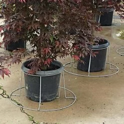 Better Bilt TopHat Plant Container Stabilizer - 25 Gallon Size -Garden-green plant growth care 3ps25 2 1