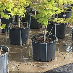 Better Bilt TopHat Plant Container Stabilizer - 5 Gallon Size