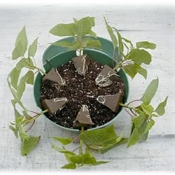 Belden Plastics 10 Inch Hanging Garden Baskets Case Of 25 -Garden-green plant growth care 690202 2