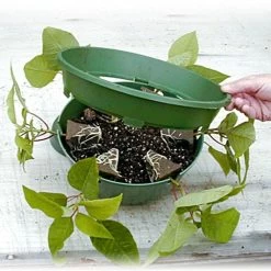 Belden Plastics 10 Inch Hanging Garden Baskets Case Of 25 -Garden-green plant growth care 690202 3