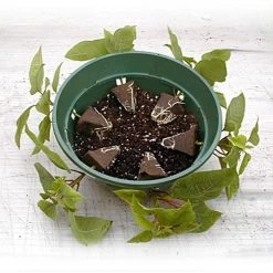 Belden Plastics 10 Inch Hanging Garden Baskets Case Of 25 -Garden-green plant growth care 690202 4