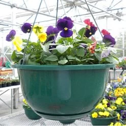 Belden Plastics 10 Inch Contemporary Baskets Case Of 50 9 Belden Plastics 10 Inch Contemporary Baskets Case Of 50 -Garden-green plant growth care 6905180 3