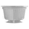Belden Plastics 10-Inch Pop Baskets, White, Case Of 50 -Garden-green plant growth care 690520