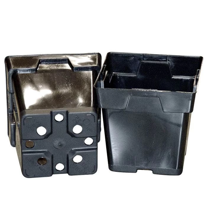 Belden Jumbo Square Pack 200/Case 3 Belden Jumbo Square Pack 200/Case