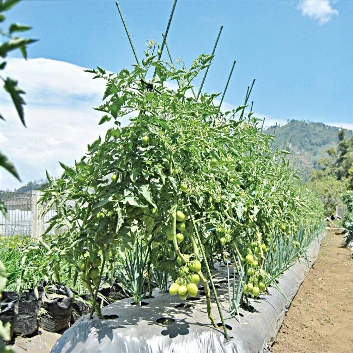 Knotty Takiron Green Steel Stakes, 3/8" X 4', Bundle Of 10 8 Knotty Takiron Green Steel Stakes, 3/8" X 4', Bundle Of 10 - Image 6