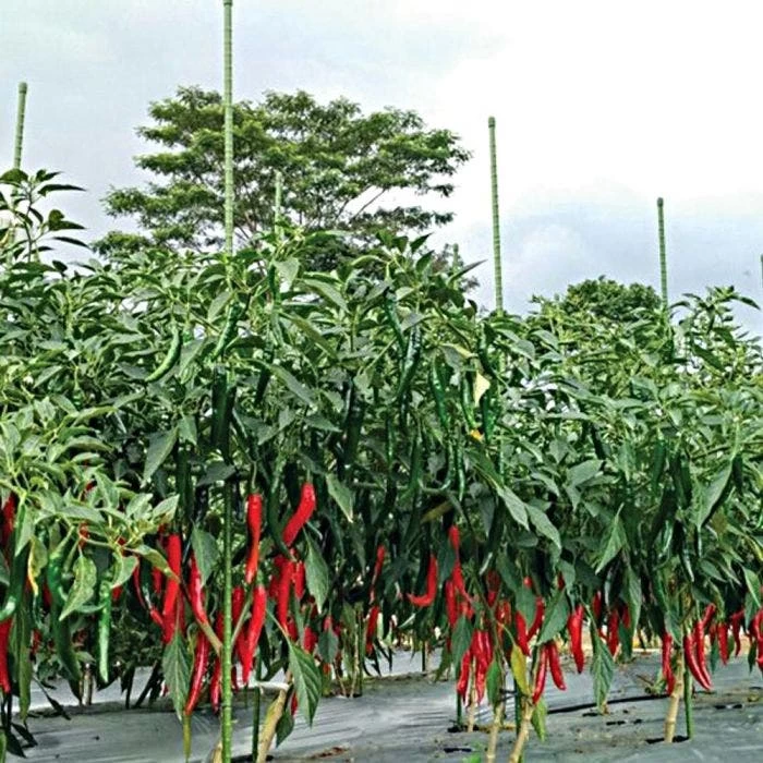 Knotty Takiron Green Steel Stakes, 3/8" X 4', Bundle Of 10 9 Knotty Takiron Green Steel Stakes, 3/8" X 4', Bundle Of 10 - Image 7