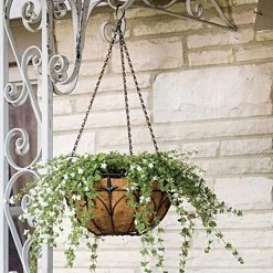 Wire Hanging Basket Fleur De Lis Coco Liner And Chain 14in Diam -Garden-green plant growth care 88512 2
