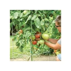 Super-Sturdy Professional Folding Tomato Cage, 60in X 18in -Garden-green plant growth care 89713 2