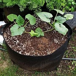 Leonard Grow Bags, 25-Gallon Size, Bundle Of 10 -Garden-green plant growth care agb25 1