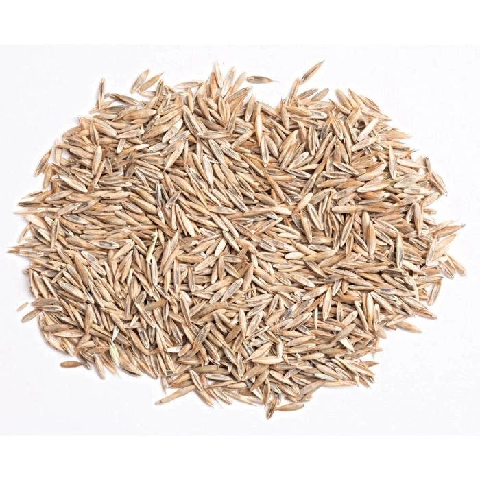 Turf Type Tall Fescue, 25 Lb Bag 4 Turf Type Tall Fescue, 25 Lb Bag - Image 2