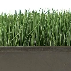 Turf Type Tall Fescue, 25 Lb Bag 7 Turf Type Tall Fescue, 25 Lb Bag -Garden-green plant growth care attf25 2 1