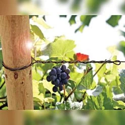 DuraLine 4-Millimeter Monofilament Trellis Line, 1,000 Feet -Garden-green plant growth care bdl 4 1000 2