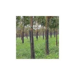 Leonard Commercial Plastic Mesh Tree Guards, 4-Inch Diameter, 48-Inch Length -Garden-green plant growth care bg48a 1