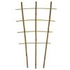 Bamboo Trellis Ladder/Fan, 24-Inch Height, Bundle Of 50 -Garden-green plant growth care blt24g