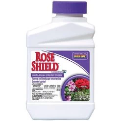 Rose ShieldConcentrate