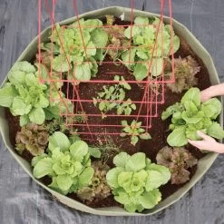 Root Pouch 150 Gallon Non-Degradable Grow Bag, Green -Garden-green plant growth care boxer150g 3 1