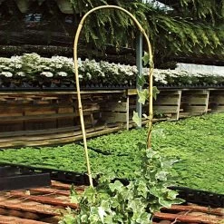 Bamboo U-Shaped Trellis, Bundle Of 100 -Garden-green plant growth care bt24 2