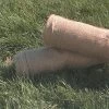 Burlap Roll 7oz. Plain 60" X 100 Yds 1 Burlap Roll 7oz. Plain 60" X 100 Yds -Garden-green plant growth care burlap b 1 1