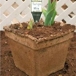 CowPots #6 Square Pots, Case Of 54 -Garden-green plant growth care cpsq6 1