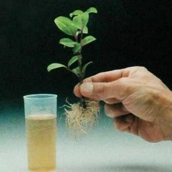 Dip 'N Grow Rooting Concentrate 16oz. -Garden-green plant growth care dg16 1 1