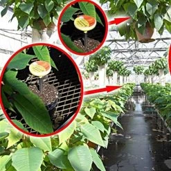 Spectrum Greenhouse DLI Meter -Garden-green plant growth care dli100 gh 3