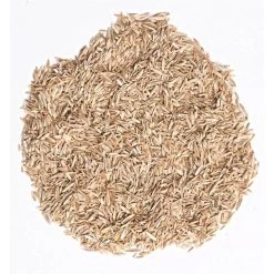 Fairlawn Blue And Rye Mix, 5 Lb Bag -Garden-green plant growth care fair5 1 1