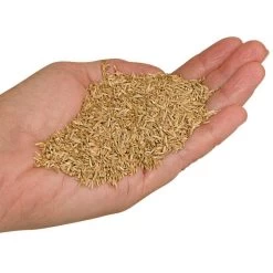 Fairlawn Blue And Rye Mix, 5 Lb Bag -Garden-green plant growth care fair5 2 1