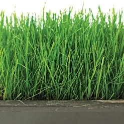 Fairlawn Shade Mix, 5 Lb Bag -Garden-green plant growth care flsh5 2 1