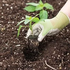 Grow-Plugs, Case Of 1,400 -Garden-green plant growth care fp1400 5