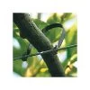 Fruit Tree Tie, 150mm