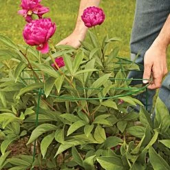 Commercial Steel Grid Plant Brace, 25in X 16in -Garden-green plant growth care gpb 2