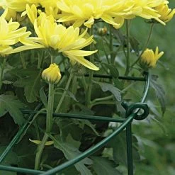 Commercial Steel Grid Plant Brace, 25in X 16in -Garden-green plant growth care gpb 3