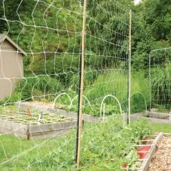 Hortonova Trellis Netting, 6-1/2 Feet X 3,280 Feet -Garden-green plant growth care htn63280 11