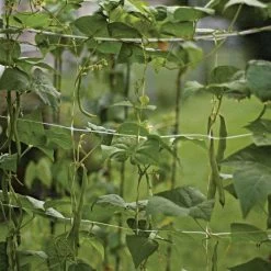 Hortonova Trellis Netting, 6-1/2 Feet X 3,280 Feet -Garden-green plant growth care htn63280 12