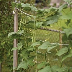 Hortonova Trellis Netting, 6-1/2 Feet X 3,280 Feet -Garden-green plant growth care htn63280 13