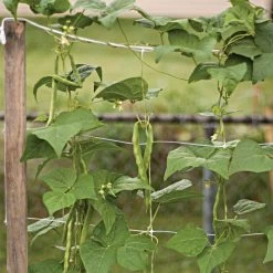 Hortonova Trellis Netting, 6-1/2 Feet X 3,280 Feet -Garden-green plant growth care htn63280 14