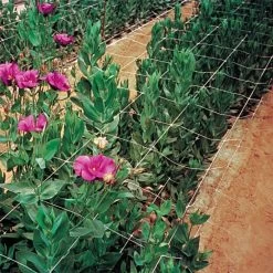Hortonova Trellis Netting, 6-1/2 Feet X 3,280 Feet -Garden-green plant growth care htn63280 15