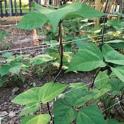 Hortonova Trellis Netting, 6-1/2 Feet X 3,280 Feet -Garden-green plant growth care htn63280 17