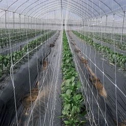 Hortonova Trellis Netting, 6-1/2 Feet X 3,280 Feet -Garden-green plant growth care htn63280 4