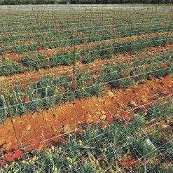 Hortonova Trellis Netting, 6-1/2 Feet X 3,280 Feet -Garden-green plant growth care htn63280 5