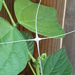 Hortonova Trellis Netting, 6-1/2 Feet X 3,280 Feet -Garden-green plant growth care htn63280 9