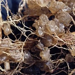 Soil Moist, 3 Lb Bulk Jug -Garden-green plant growth care jcd030sm 2