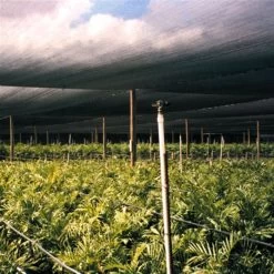 Black Knitted Shade Fabric Master Roll, 70% Shade, 6-Foot Width 8 Black Knitted Shade Fabric Master Roll, 70% Shade, 6-Foot Width -Garden-green plant growth care ksb630070 1